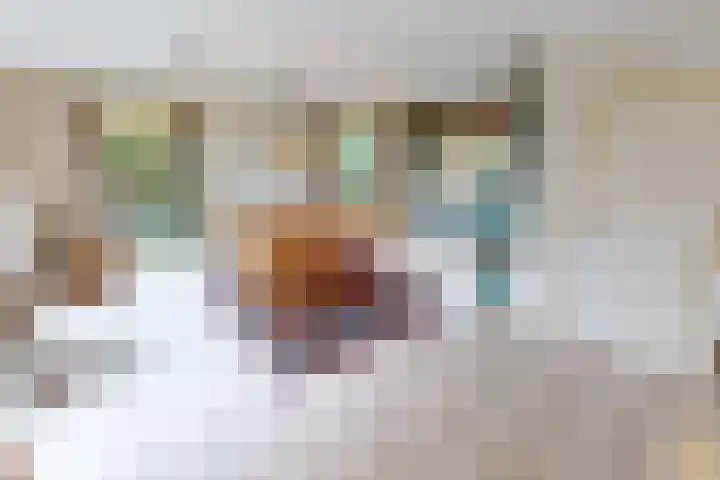 Schoutsland 11 Andijk thumbnail 16