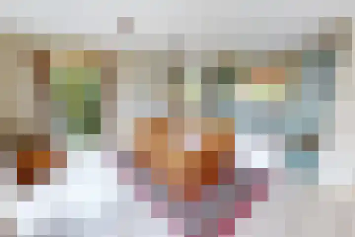 Schoutsland 11 Andijk thumbnail 18