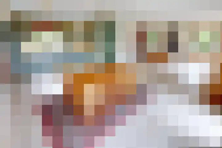 Schoutsland 11 Andijk thumbnail 19