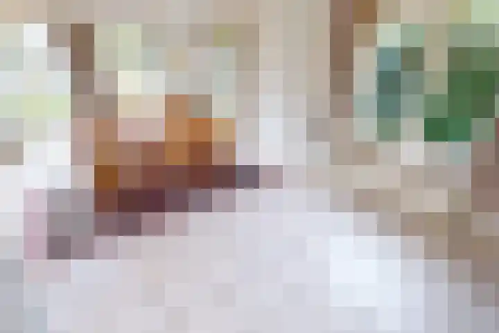 Schoutsland 11 Andijk thumbnail 20