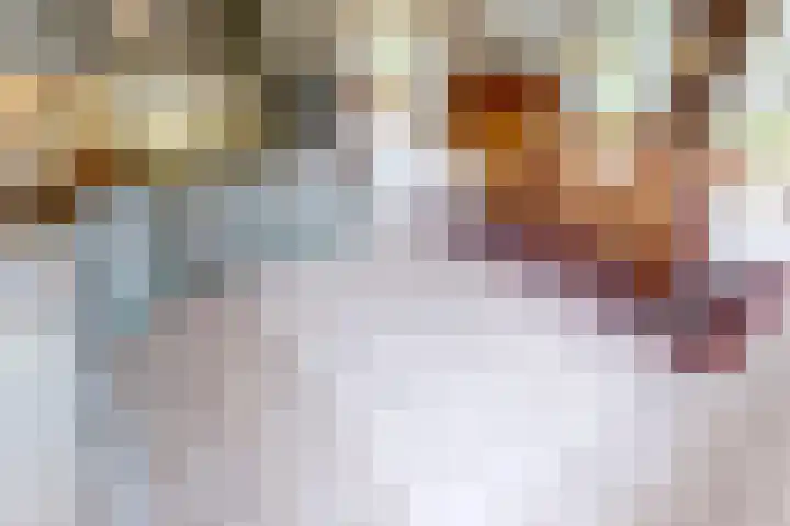 Schoutsland 11 Andijk thumbnail 21