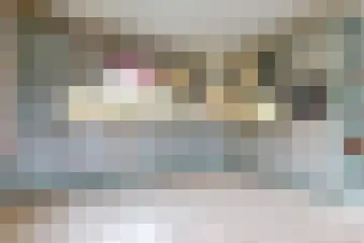 Schoutsland 11 Andijk thumbnail 23