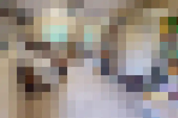 Schoutsland 11 Andijk thumbnail 25