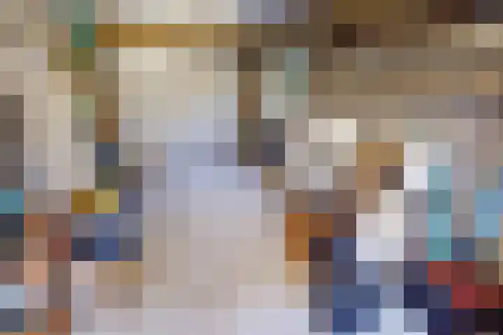 Schoutsland 11 Andijk thumbnail 26