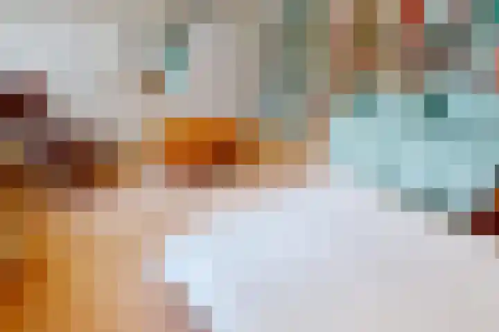 Schoutsland 11 Andijk thumbnail 32