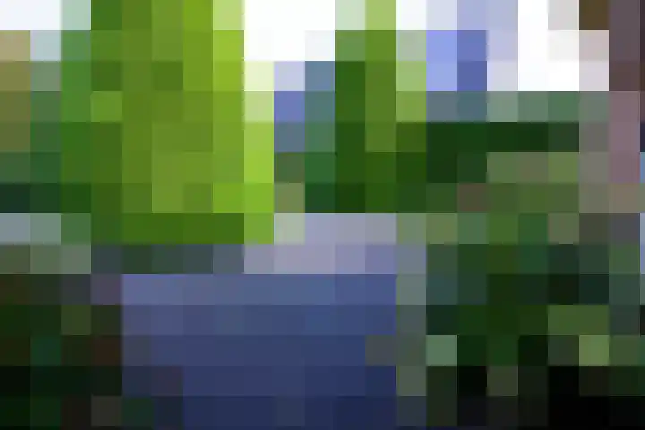 Schoutsland 11 Andijk thumbnail 4