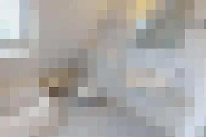 Schoutsland 11 Andijk thumbnail 47