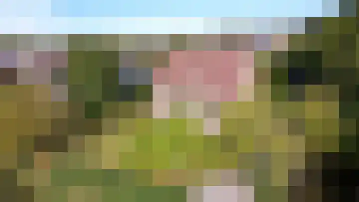 Schoutsland 11 Andijk thumbnail 54