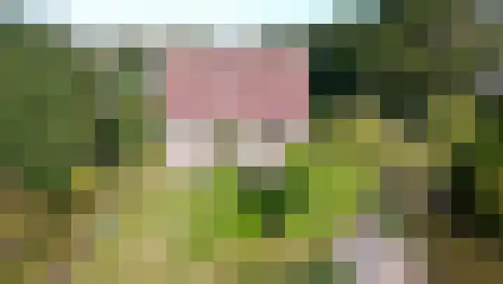 Schoutsland 11 Andijk thumbnail 55
