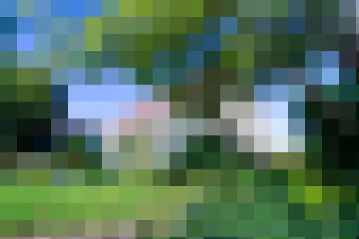 Schoutsland 11 Andijk thumbnail 57