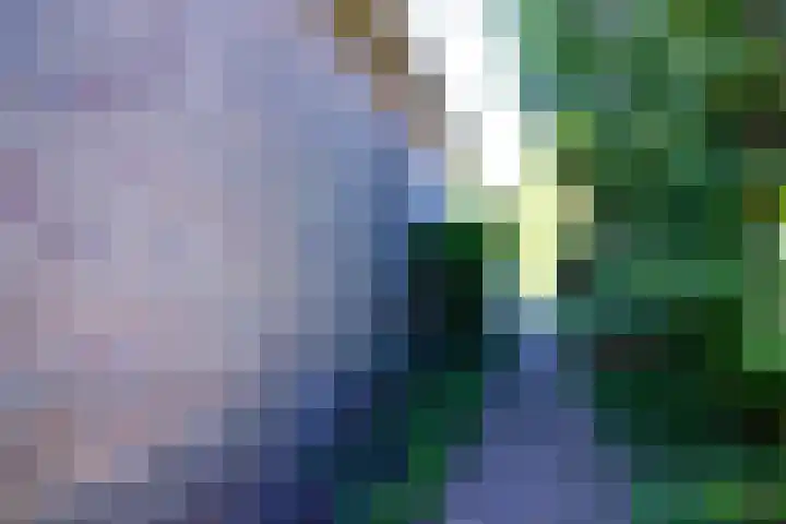 Schoutsland 11 Andijk thumbnail 60
