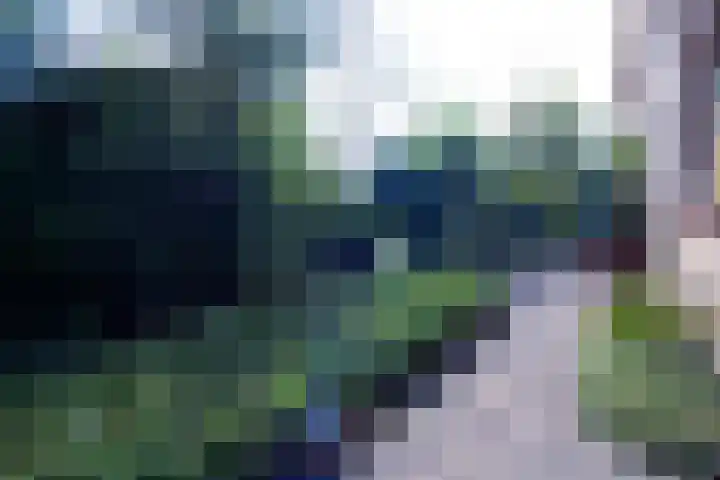 Schoutsland 11 Andijk thumbnail 61