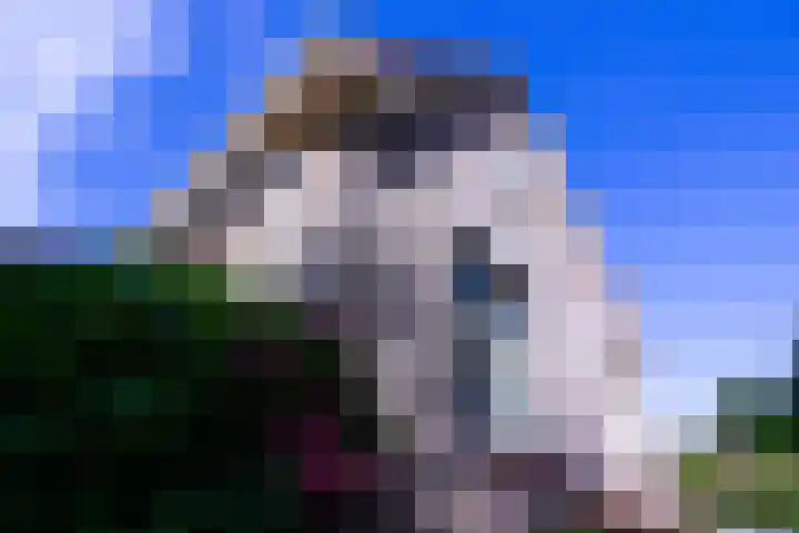 Schoutsland 11 Andijk thumbnail 62