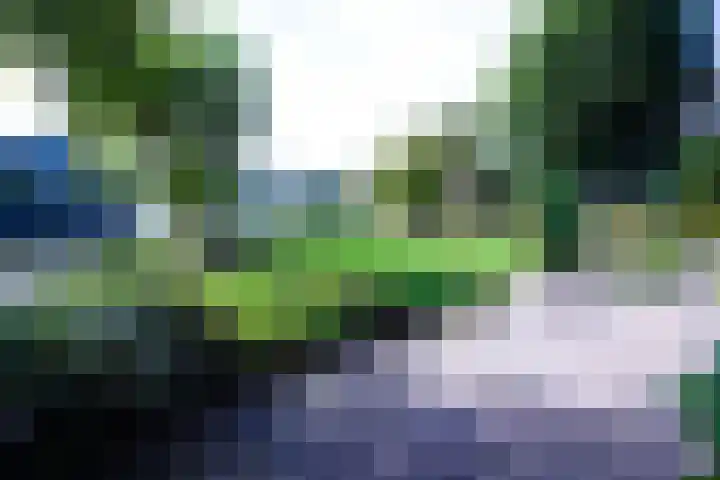 Schoutsland 11 Andijk thumbnail 64