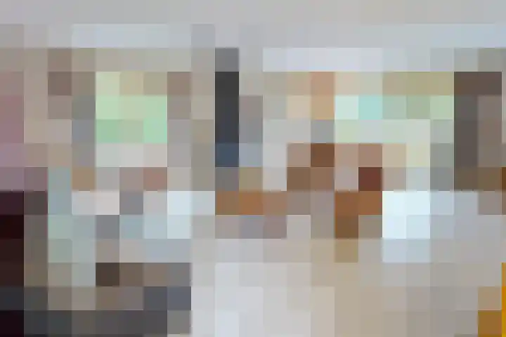 Schoutsland 11 Andijk thumbnail 8