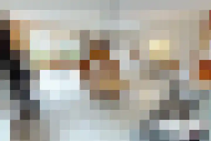Schoutsland 11 Andijk thumbnail 9
