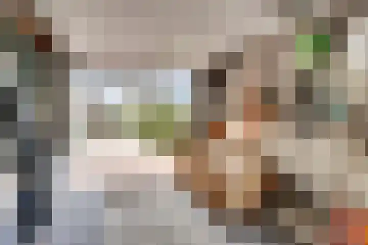 Schoutsland 44 Andijk thumbnail 11