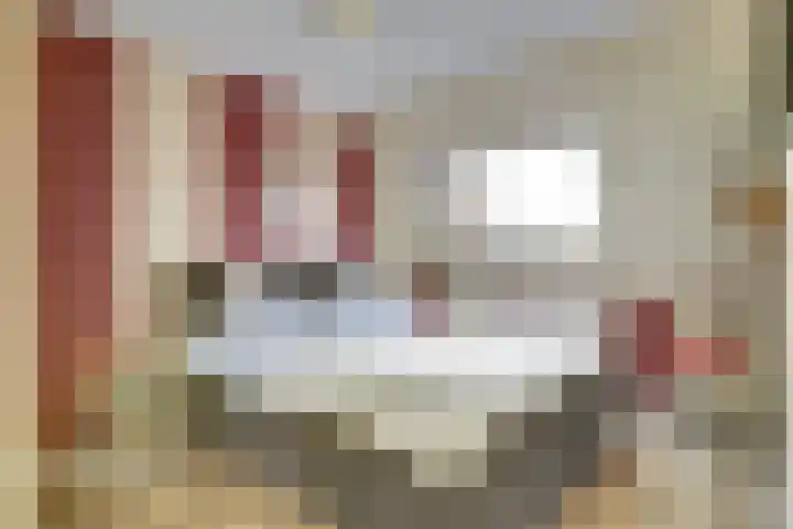 Schoutsland 44 Andijk thumbnail 15
