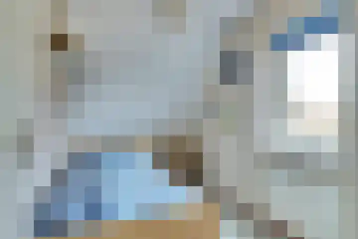 Schoutsland 44 Andijk thumbnail 17