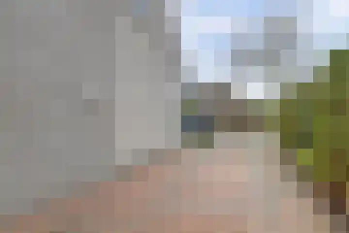 Schoutsland 44 Andijk thumbnail 30
