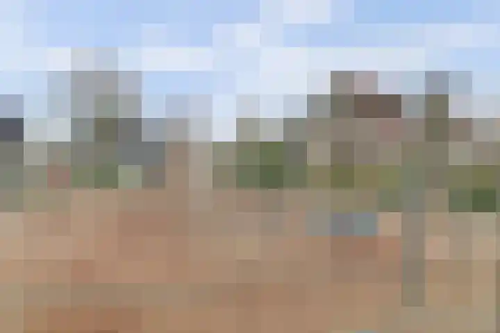Schoutsland 44 Andijk thumbnail 31