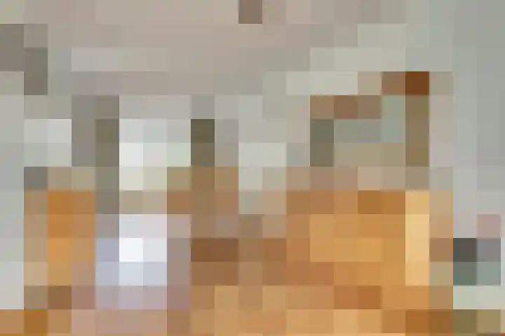 Schoutsland 44 Andijk thumbnail 6