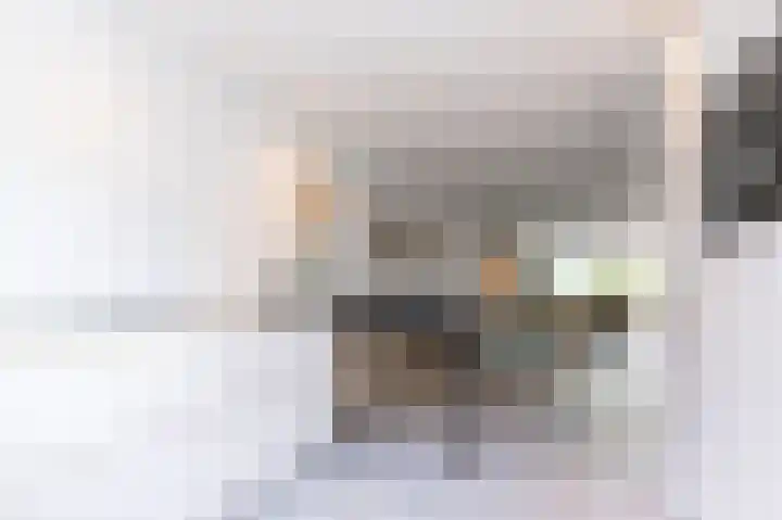 Schoutsland 6 Andijk thumbnail 11