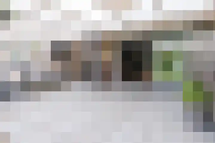 Schoutsland 6 Andijk thumbnail 15