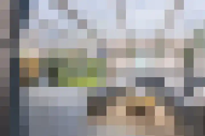 Schoutsland 6 Andijk thumbnail 17