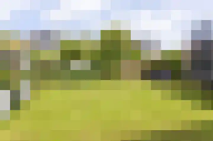 Schoutsland 6 Andijk thumbnail 18