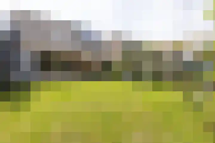 Schoutsland 6 Andijk thumbnail 20