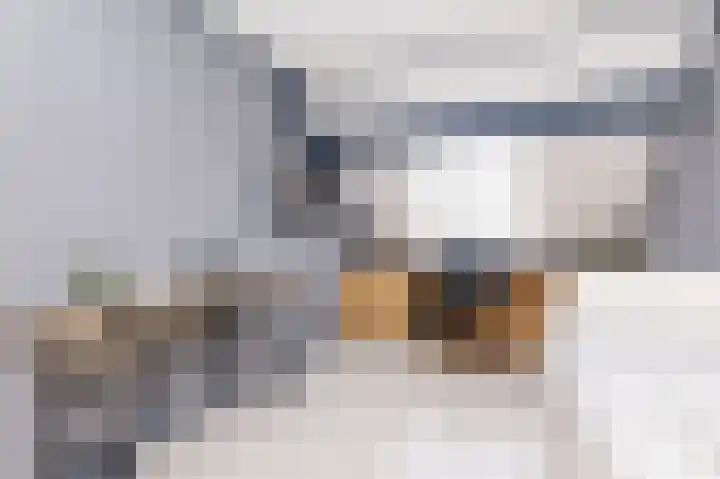 Schoutsland 6 Andijk thumbnail 25