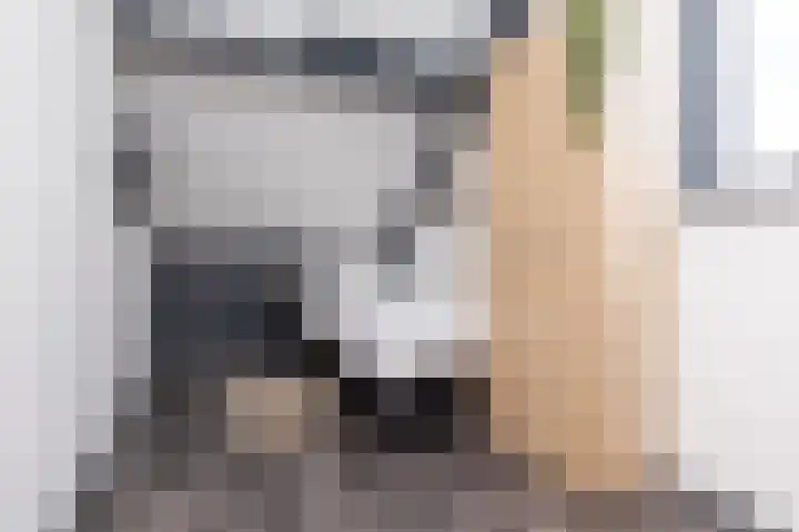 Schoutsland 6 Andijk thumbnail 27