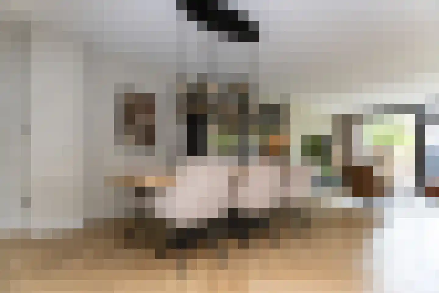 Schoutsplaats 31 Wognum thumbnail 19