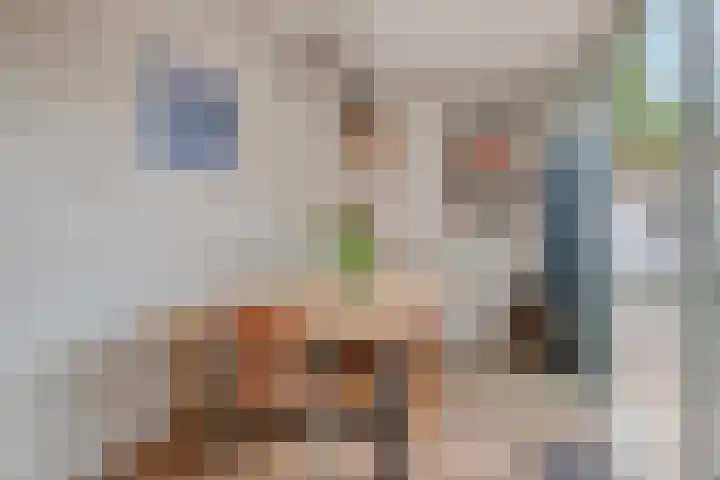 Schoutstraat 10 Hulst thumbnail 18
