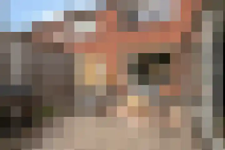 Schoutstraat 10 Hulst thumbnail 25