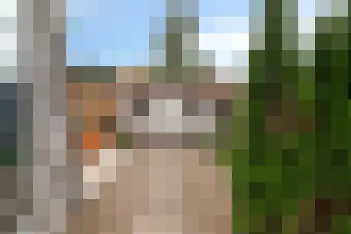 Schoutstraat 10 Hulst thumbnail 27