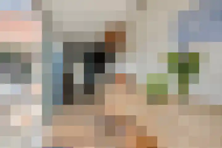 Schoutstraat 10 Hulst thumbnail 4