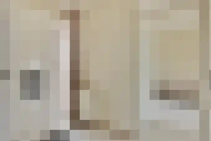 Schoutstraat 13 Geulle thumbnail 10