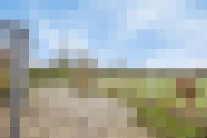 Schoutstraat 13 Geulle thumbnail 22
