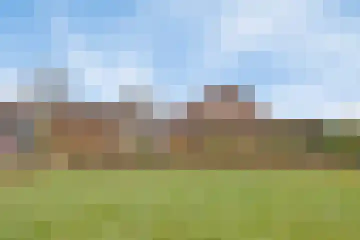 Schoutstraat 13 Geulle thumbnail 23