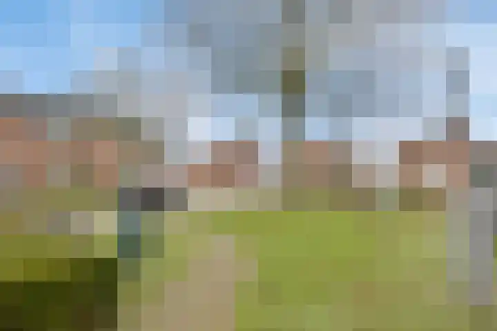 Schoutstraat 13 Geulle thumbnail 26
