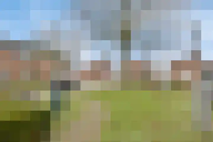 Schoutstraat 13 Geulle thumbnail 27