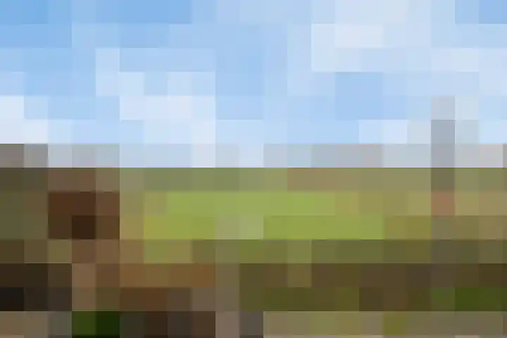 Schoutstraat 13 Geulle thumbnail 29