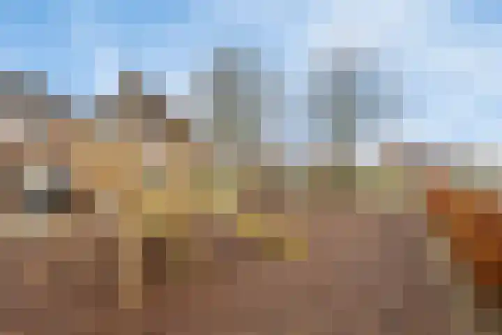 Schoutstraat 13 Geulle thumbnail 31