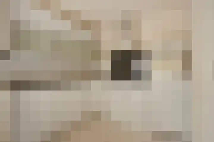 Schoutstraat 13 Geulle thumbnail 4