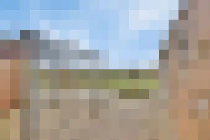 Schoutstraat 13 Geulle thumbnail 7