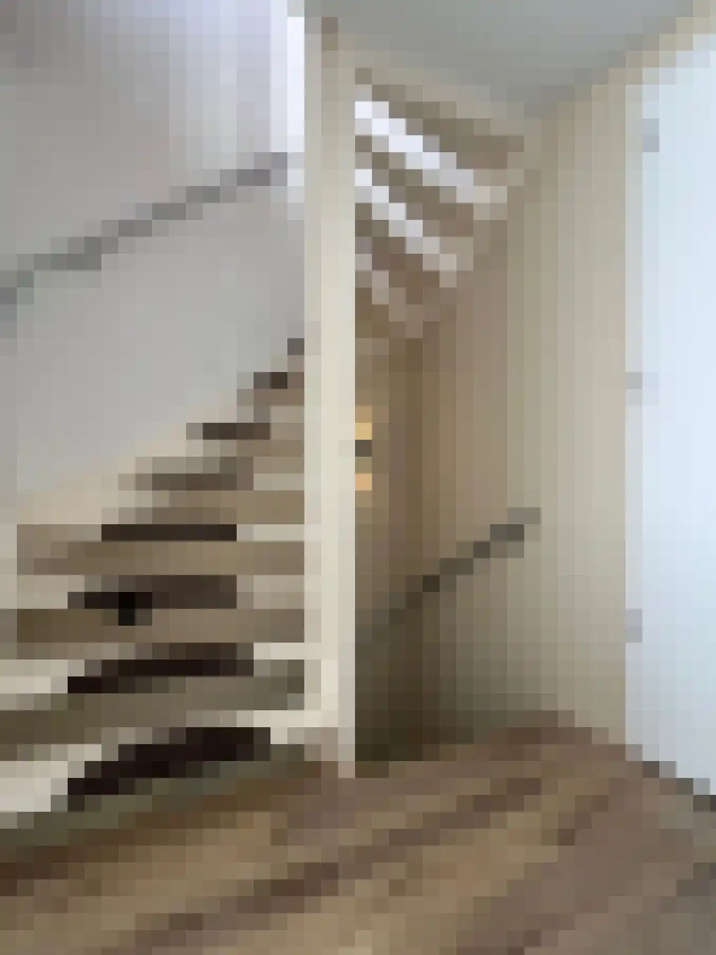 Schoutstraat 13 Montfoort thumbnail 15
