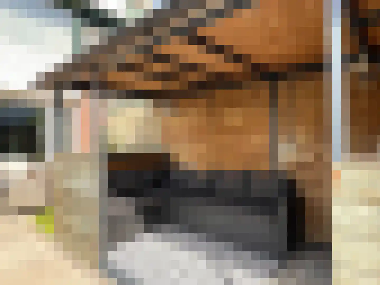 Schoutstraat 13 Montfoort thumbnail 19