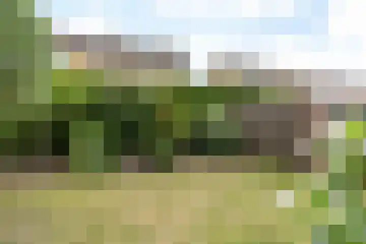 Schoutstraat 14 Brunssum thumbnail 31